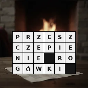 Rozwiązanie krzyżówki: okulistyczna operacja chirurgiczna przeszczepienia rogówki w której uszkodzona lub zniszczona przez chorobę rogówka jest wymieniana na zdrową tkankę rogówki dawcy pobraną od osoby niedawno zmarłej - przeszczepienie rogówki | hasła, synonimy i podpowiedzi Hasło krzyżówkowe okulistyczna operacja chirurgiczna przeszczepienia rogówki w której uszkodzona lub zniszczona przez chorobę rogówka jest wymieniana na zdrową tkankę rogówki dawcy pobraną od osoby niedawno zmarłej - przeszczepienie rogówki – rozwiązanie, synonimy, podpowiedzi i definicje krzyżówkowe